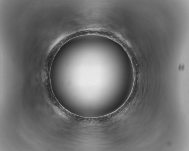 X0000091931400200709121549