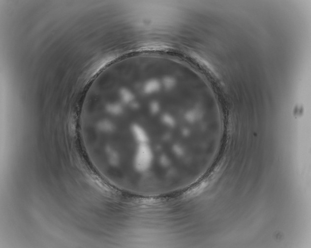 X0000091931401200709121549