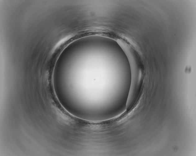 X0000091931402200709121549