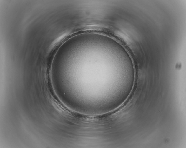 X0000091931403200709121549