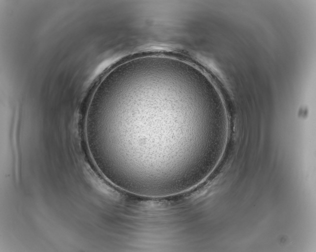 X0000091931404200709121549
