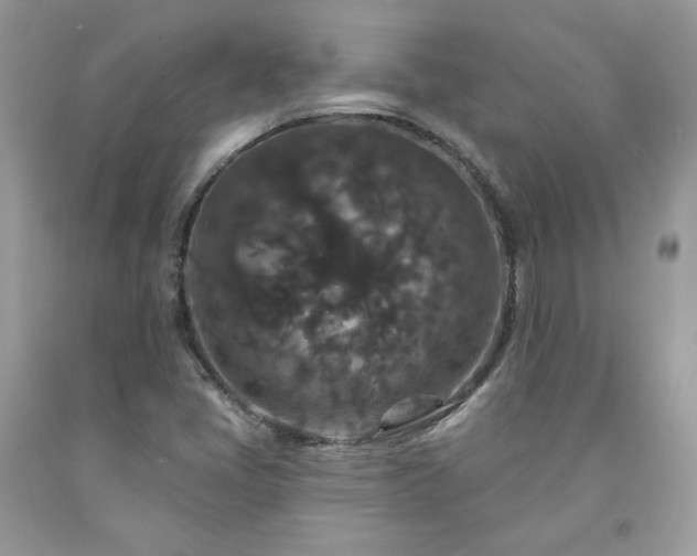 X0000091931405200709121549