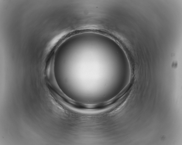 X0000091931406200709121549