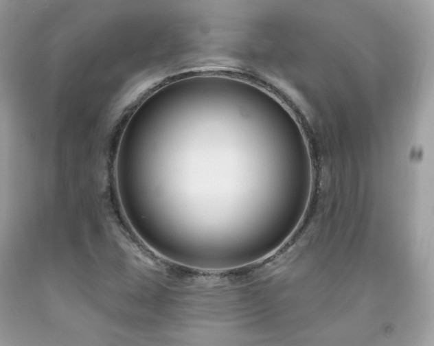 X0000091931407200709121549
