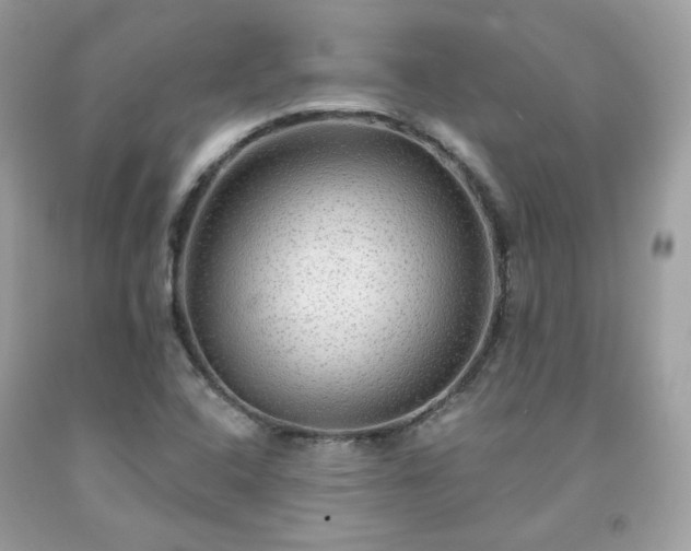 X0000091931408200709121549