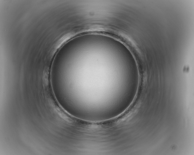 X0000091931409200709121549