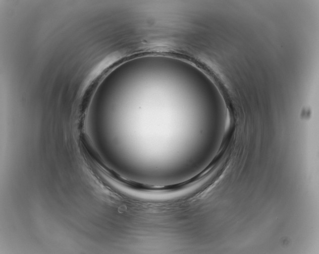 X0000091931410200709121550