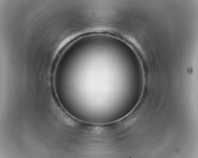 X0000091931412200709121550