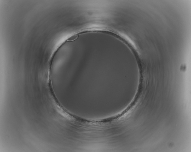 X0000091931413200709121550