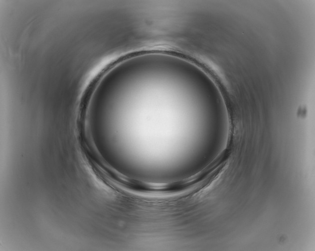 X0000091931414200709121550