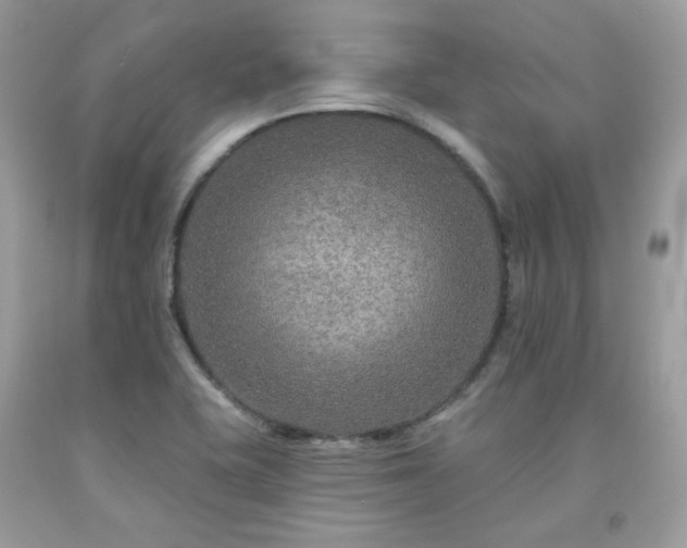 X0000091931415200709121550