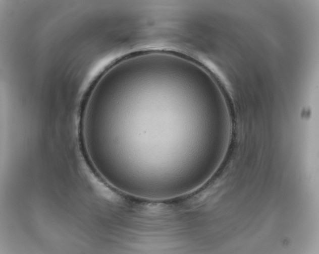 X0000091931416200709121550
