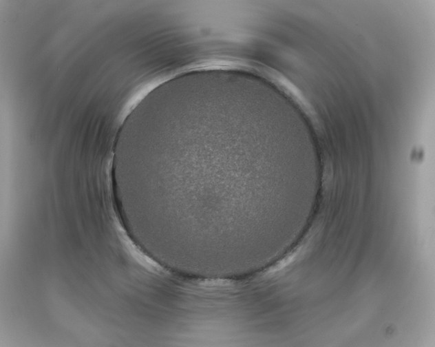 X0000091931417200709121550