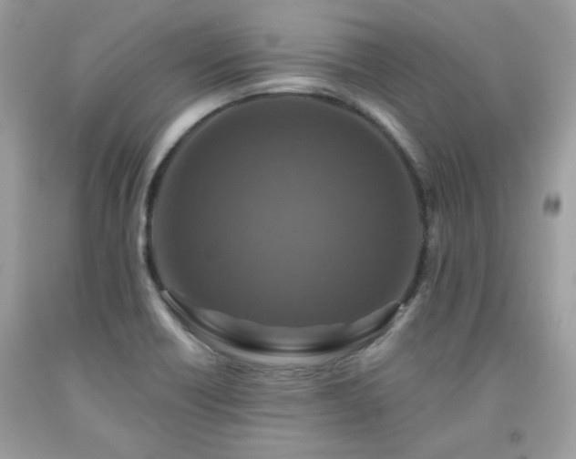 X0000091931418200709121550