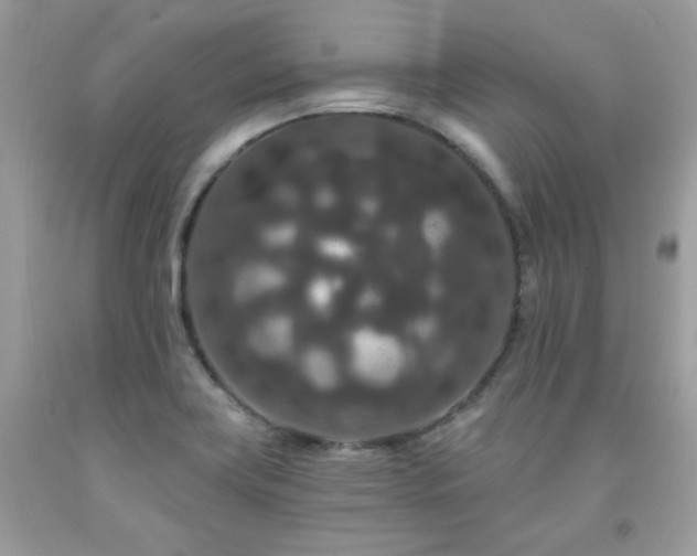 X0000091931419200709121550