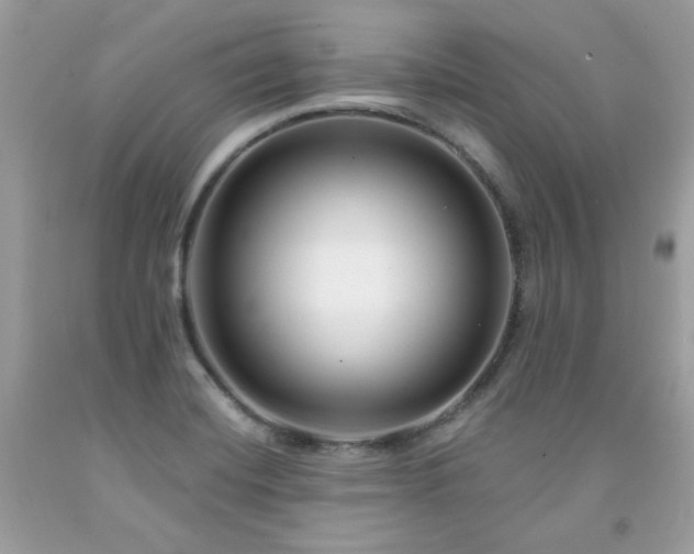 X0000091931420200709121550