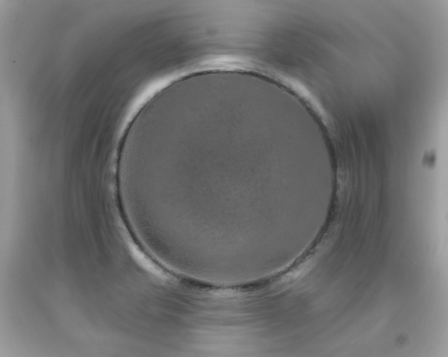 X0000091931421200709121550