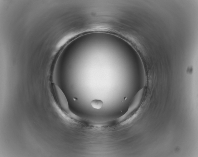 X0000091931422200709121550