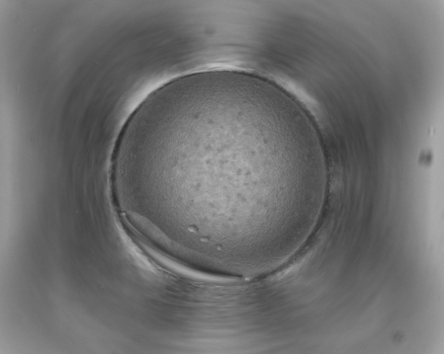 X0000091931423200709121550
