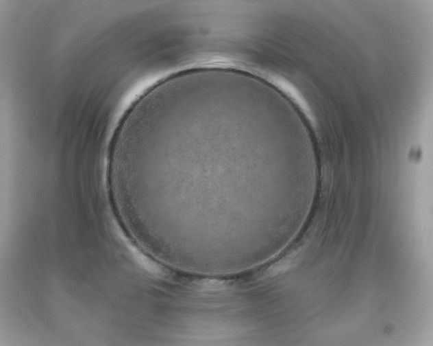 X0000091931424200709121550