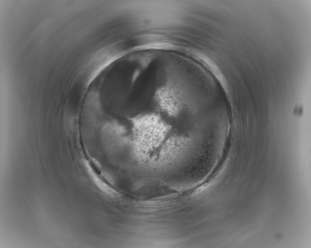 X0000091931425200709121550