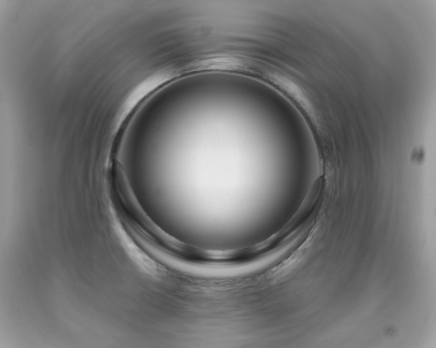 X0000091931426200709121550