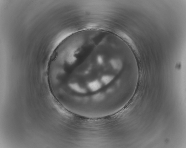 X0000091931427200709121550