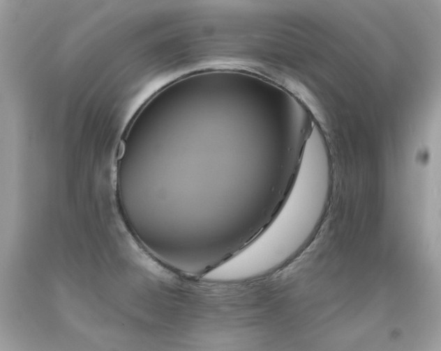 X0000091931428200709121550