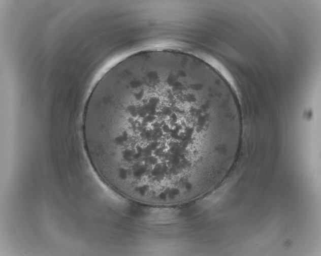 X0000091931429200709121550