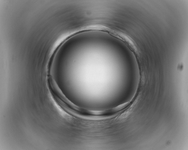 X0000091931430200709121550