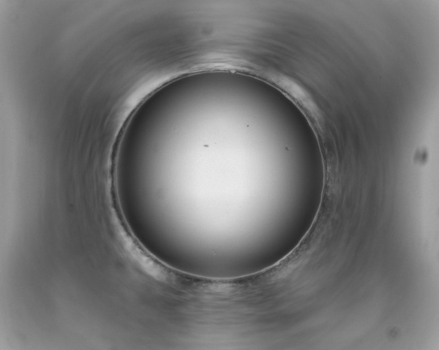 X0000091931431200709121550