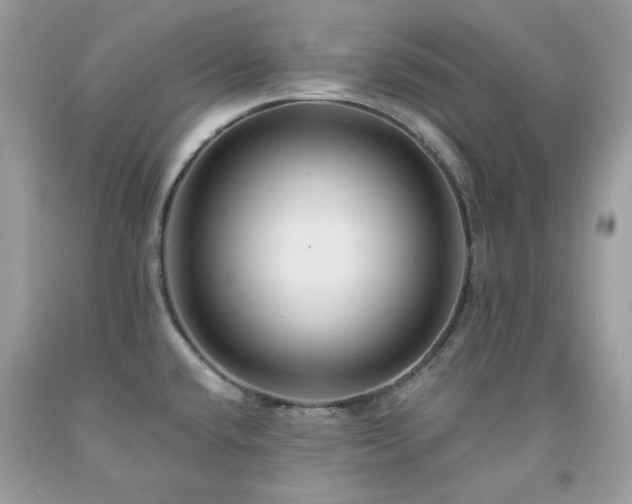 X0000091931432200709121550
