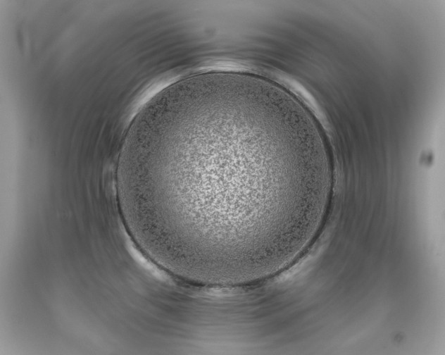 X0000091931433200709121550