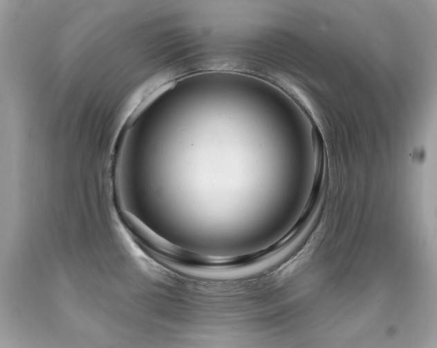 X0000091931434200709121550