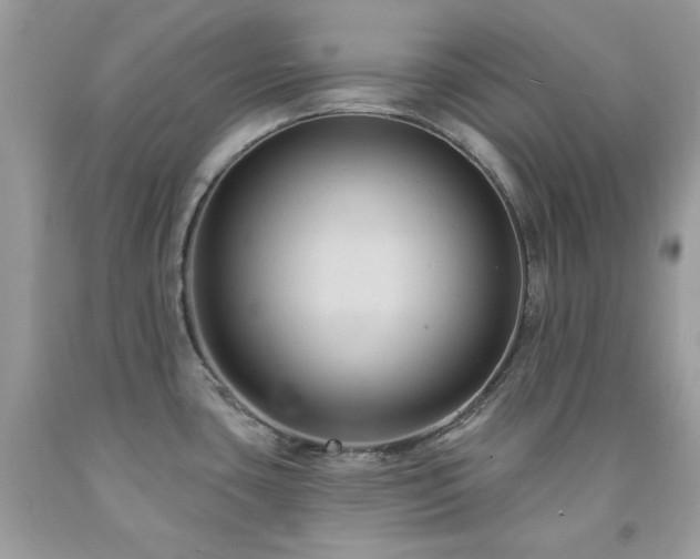 X0000091931435200709121550