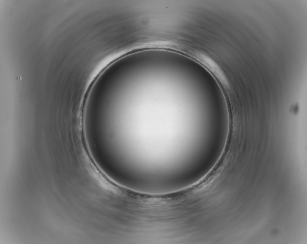X0000091931436200709121550