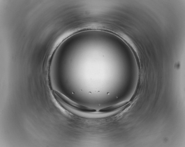 X0000091931437200709121550