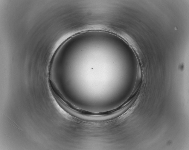 X0000091931438200709121550