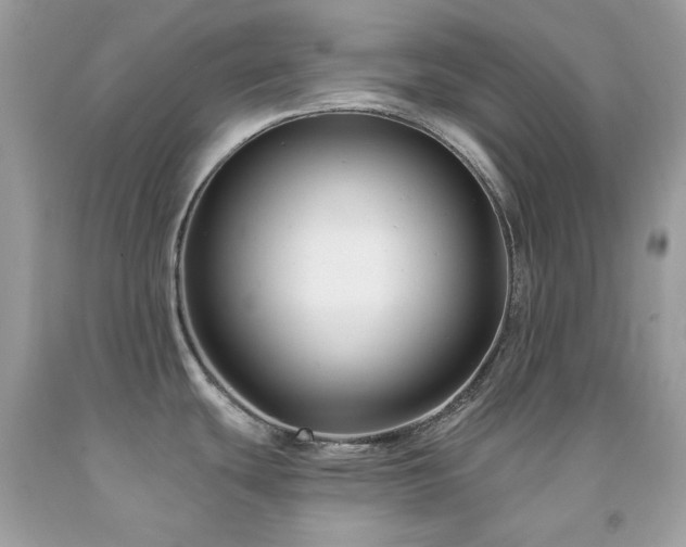 X0000091931439200709121550