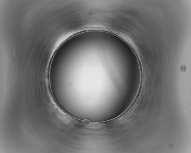 X0000091931440200709121550