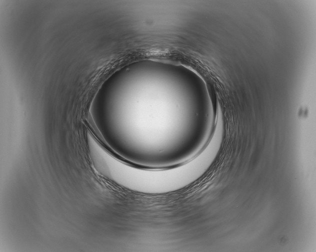 X0000091931441200709121549