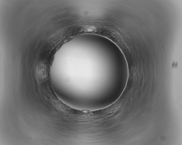 X0000091931442200709121549