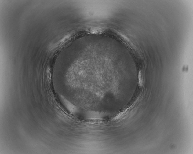 X0000091931443200709121549