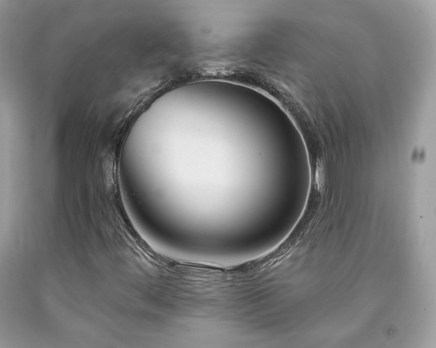 X0000091931444200709121549
