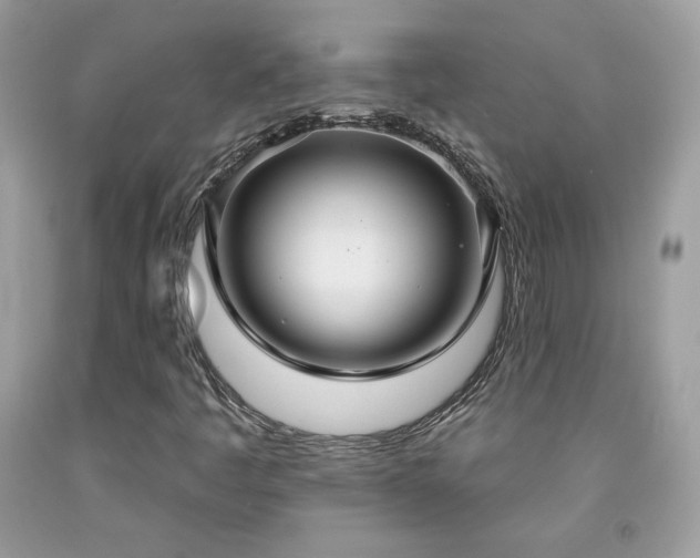 X0000091931445200709121549