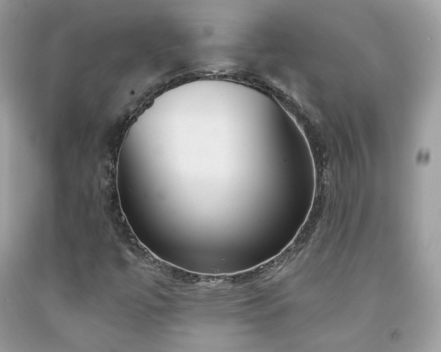 X0000091931447200709121549