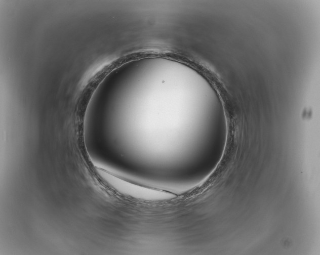 X0000091931448200709121549
