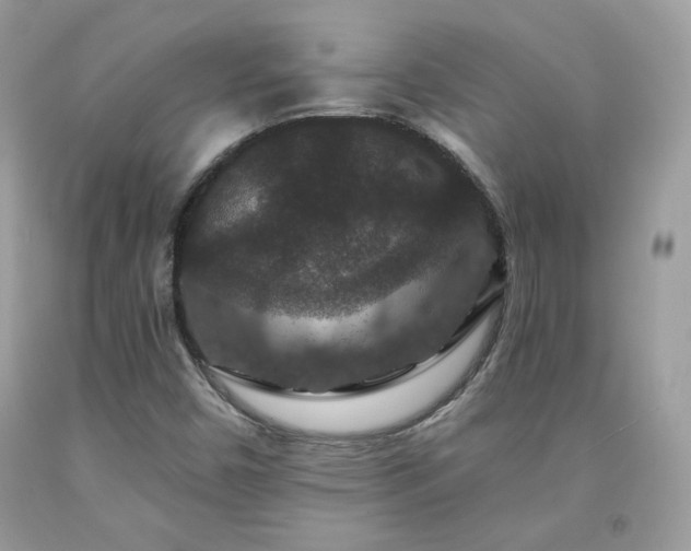 X0000091931450200709121549