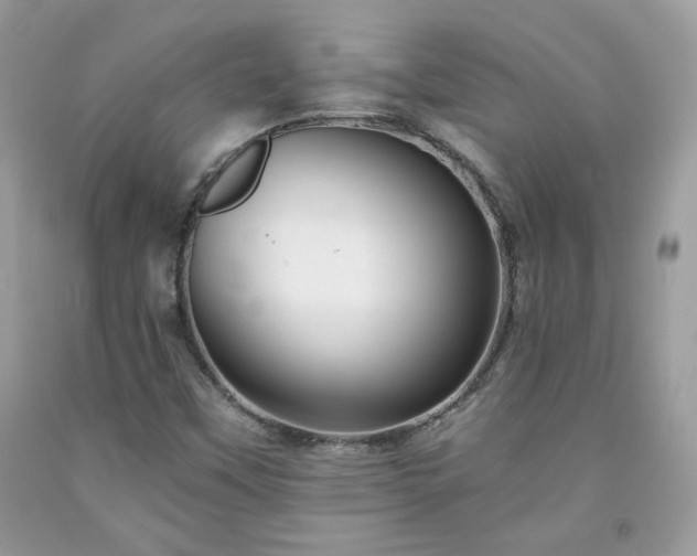 X0000091931451200709121549