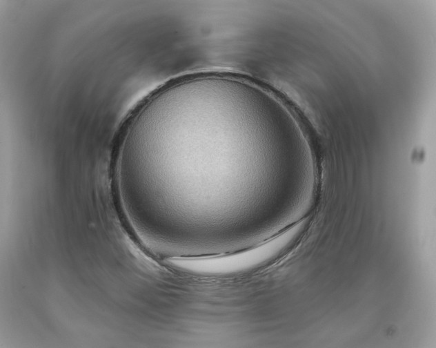 X0000091931452200709121549